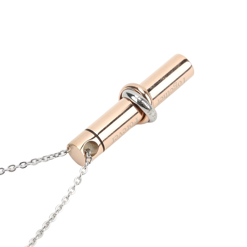 Ashes Necklace 316L Stainless Steel Oxidation Resistant Memorial Cremation Jewelry