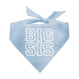 Big Sis Dog Bandana | 100% Cotton Adjustable Triangle | Made in USA | New Baby | Pregnancy Announcement Photoshoot Prop | Gender Reveal | Baby Blue X-Small (1066)