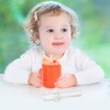 AUTSUPPL 5pcs Bottle Straw Sippy Cup Replacement Straw Drinking Straw