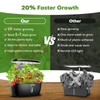 Ahopegarden Indoor Garden Hydroponics Growing System: 12 Pods Plant Germination