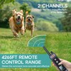 GROOVYPETS Dog Training Collar, 1400 Yards Remote with Full Color