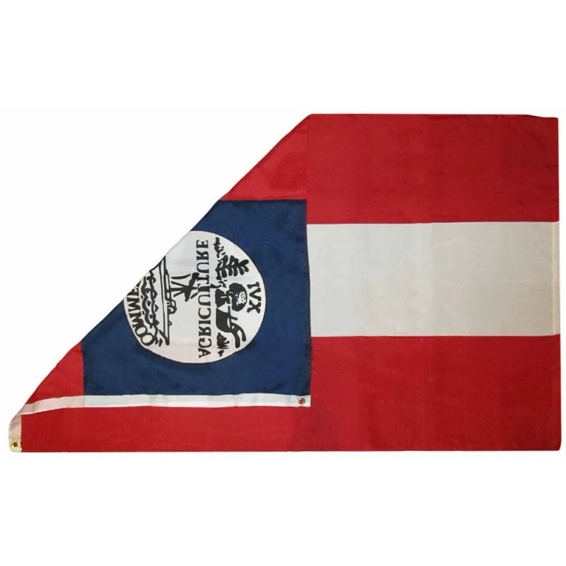 RFCO 3x5 Tennessee CSA State 1861 Proposed 3'x5' Rough Tex