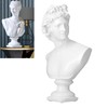 Nordic Style Character Figurine Bust Statue Craft Ornament for Desktop
