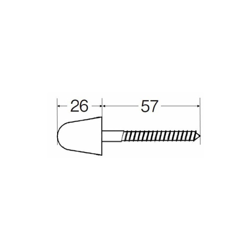 SANEI R43-6-6.2X63-W Toilet Parts Large Toilet Floor Mounting Screws, White,