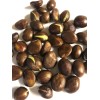 Loquat Japanese Loquat Seeds 20pcs Sweet Tropical Fruit Tree Ready