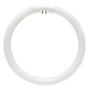 Replacement for Floxite #T5-22W T5-22W Ccircular Fluorescent lamp / Bulb