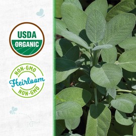 Back to the Roots - 100% Organic Seed Packet - Sage 'Common' 140mg