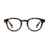 Peepers by PeeperSpecs Men's Headliner Round Reading Glasses, Gray botanico,