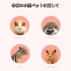 Hedgehog, Hamster, Squirrel, Water Bottle, Automatic Water Bottle, Holder, Leakproof,