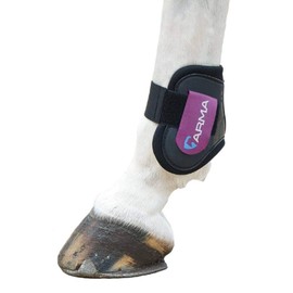 Shires Arma Fetlock Boots - Black/Plum: Cob/Full