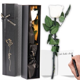 Trends by Twins® Eternal Rose, Infinity Rose as a Gift for Women and Girlfriend Gift, Artificial Flowers Like Real Roses, Best Friend Gifts and Mum. (White/Gold)