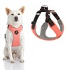 Gooby Convertible Z Harness, Pink, Large