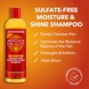Shampoo con Aceite de Argán Creme of Nature 355ml