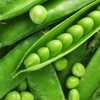 RAISE ME UP: Seeds Sweet Snap Peas Alfa Non GMO
