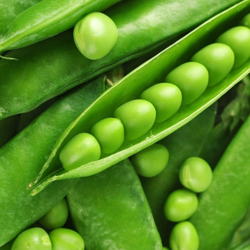 RAISE ME UP: Seeds Sweet Snap Peas Alfa Non GMO