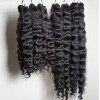 Usa Local Ship Factory 100% Raw Vietnamese Hair Burmese Curly