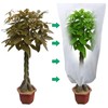 Tkxjry Pack of 2 Winter Plant Covers, 80 x 120