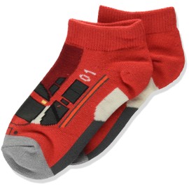 Station Railway Odakyu Line Romance Car GSE Railway Socks