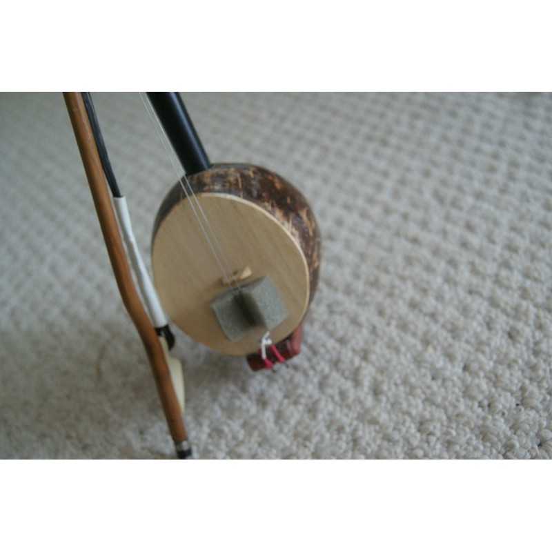 Southern Chinese Folklore Coconut 2 Strings Huqin (Violin of Southern