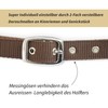 Headcollar for Horses, Stylish Leopard Look, 2-Way Adjustable Buckles, Shetty,