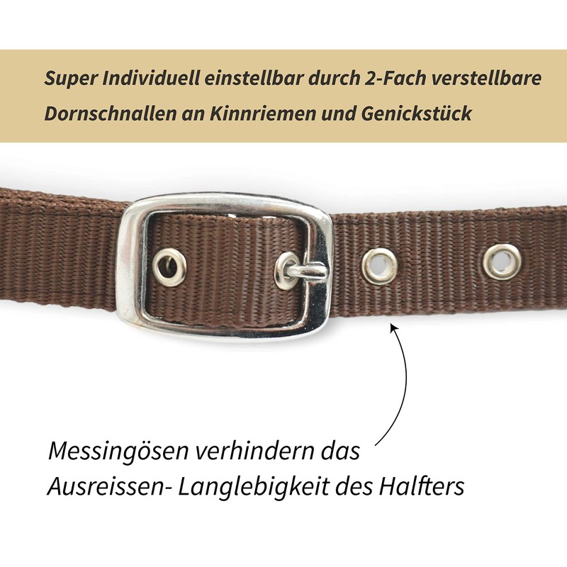 Headcollar for Horses, Stylish Leopard Look, 2-Way Adjustable Buckles, Shetty,
