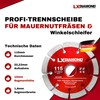 LXDIAMOND Diamond Cutting Disc 250 mm x 25.4 mm -