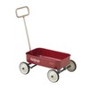 PULA-Wild 2-in-1 Kids' Pull-Along Wagon Toddlers Push Walker for 2.5-8