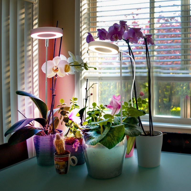 USB Plant Light Angel Ring with Timer Full Spectrum Sunlight