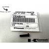 Cyclemax Kawasaki Genuine OEM Cross Pan Screw 220AB0416