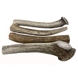 WhiteTail Naturals | 1 Pound (lb) Bundle | Extra Hard Axis Deer Antlers for Dogs | Naturally Shed Organic Antler Dog Chews | for Aggressive Chewers Only