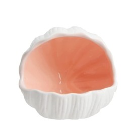 ZYHW Ceramic Cave Shell Fish House - Small Animal Hideout for Hamsters, Gerbils, Chinchillas, Mice, Rats, and Syrian Hamsters - 5.1 inch(Pink M)