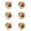 KtbeYTi Hexagonal Brass Blanking Plugs, 1/2 Inch Male Thread Plugs,