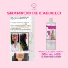 Shampoo De Caballo Detiene La Caída Acelera El Crecimiento