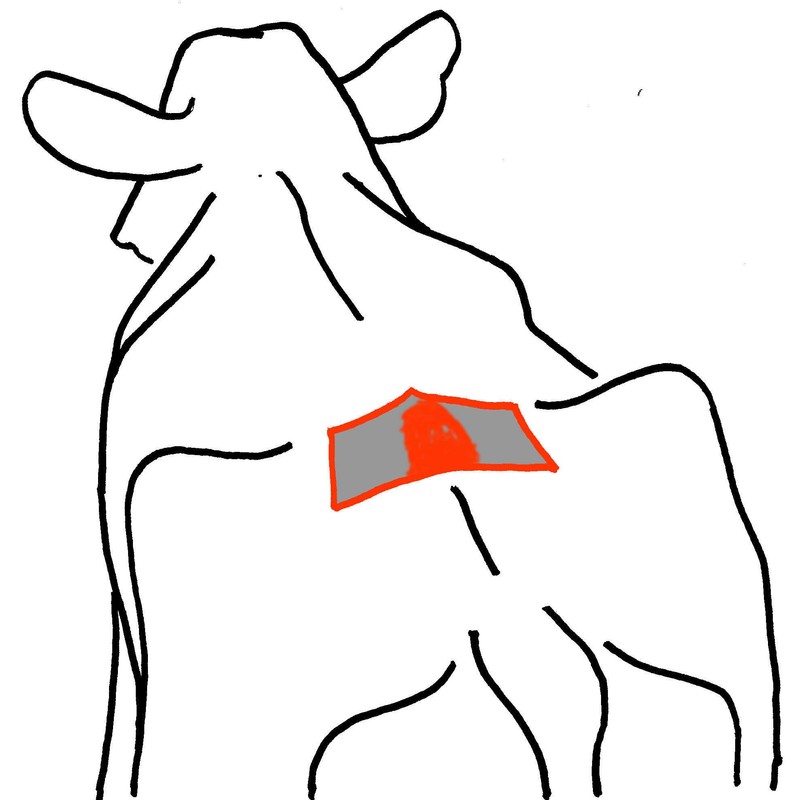 Heat Detector Mount Activity Label Patches Fuchsia 25PK