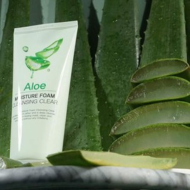 Owner Clan Aloe Cleansing Foam for Vibrant Skin and Restored Balance 180ml / 생기있는피부 무너진 밸런스 알로에 클렌징폼 180ml
