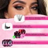 Individual Eyelashes 812pcs Cluster Lashes Kit with 2 Set of