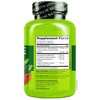 NATURELO Glucosamine Chondroitin MSM with Boswellia and Vitamin C -