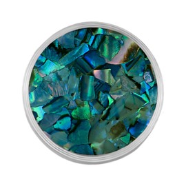 Quiges Interchangeable Mini Coin 12 mm Stainless Steel and Shell with Flakes (Many Colours), Shell, Shell