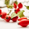 Rosehip Extract Powder Rose Fruit Oil Tea Tea Powder 2