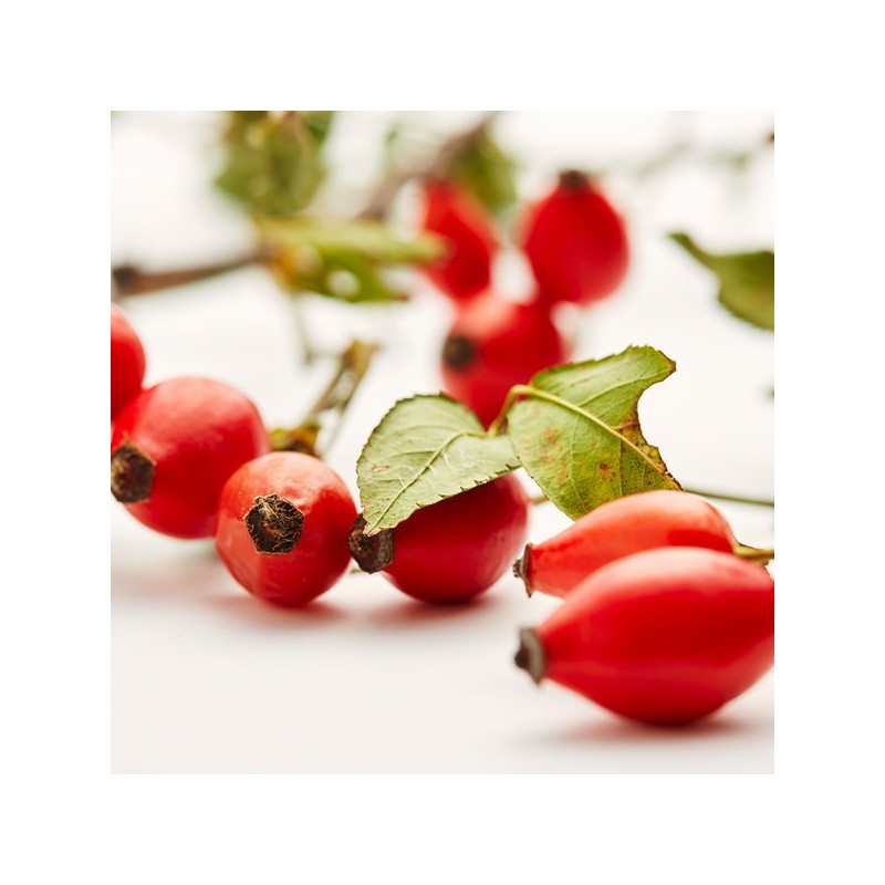 Rosehip Extract Powder Rose Fruit Oil Tea Tea Powder 2