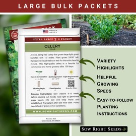 Sow Right Seeds - Bulk Tall Utah Celery Seeds for Planting - 3 Grams, 2100 Seeds - Non-GMO Heirloom Jumbo Pack with Instructions to Plant and Grow an Outdoor Home Vegetable Garden - Bountiful Harvest