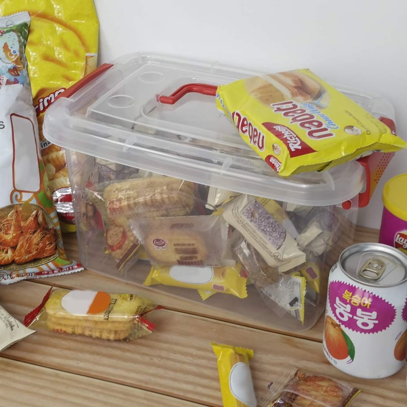 Doryh 5 L Plastic Storage Bin with Lid, Clear Transparent