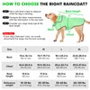 BiPawTi Waterproof Dog Rain Jacket for Large Dogs - Adjustable