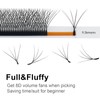 COZBIRD 4d ww Eyelash Extensions Accessories, W 8d Ready Fans