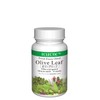 Erectic Olive Brief FFD45 400mg x 45 Capsules