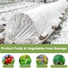Sumfox Winter Frost Cloth Plant Frost Protection Covers 10 FT