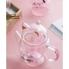 IwaiLoft IL-G1968 Handmade Heat Resistant Glass Tea Pot with Tea