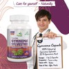 Ayushya Gymnema Sylvestre (Madhunaashini) Capsule, 500 mg Pure Extract, 60