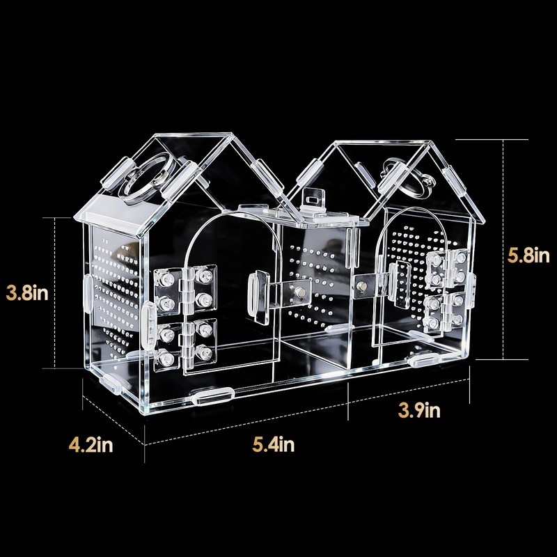 Jumping Spider Enclosure, Acrylic Terrarium with Partition Divider (1-2 Compartments),