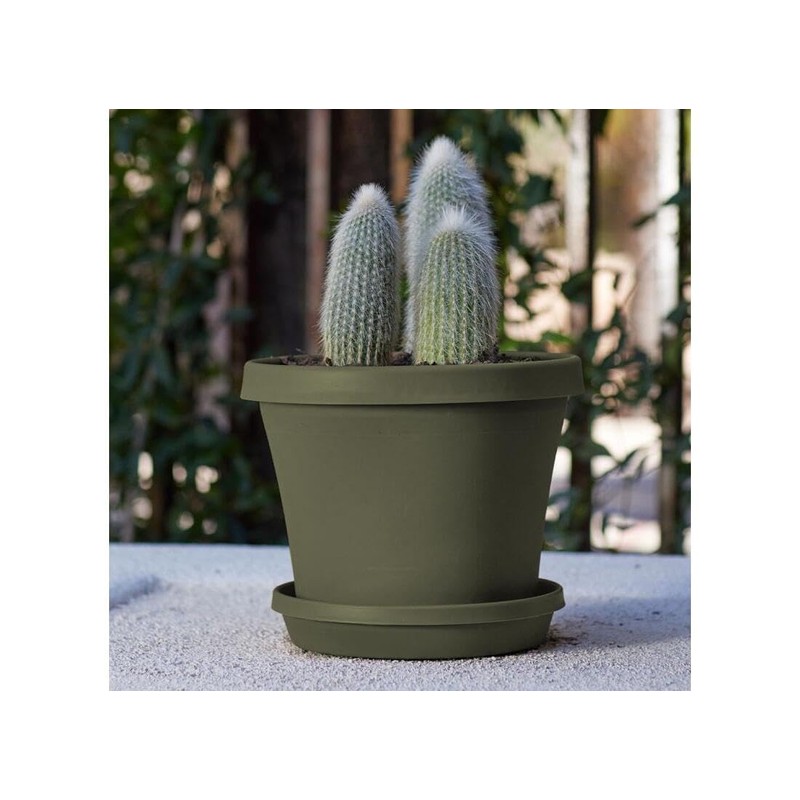 Bloem Terra Pot Planter 8" Living Green